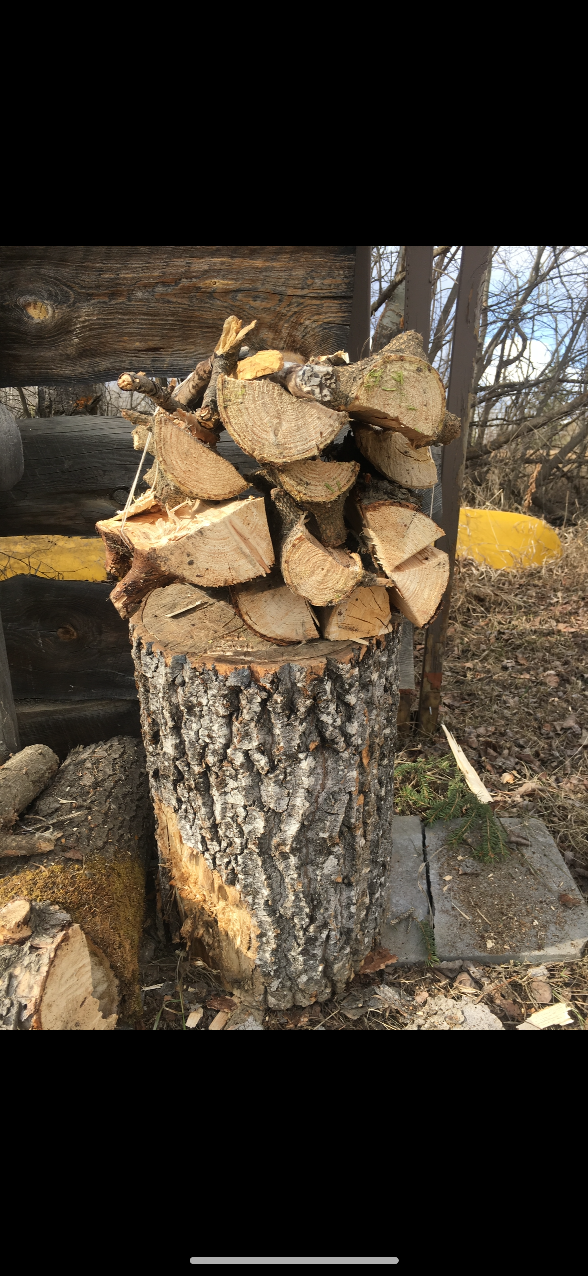 Firewood