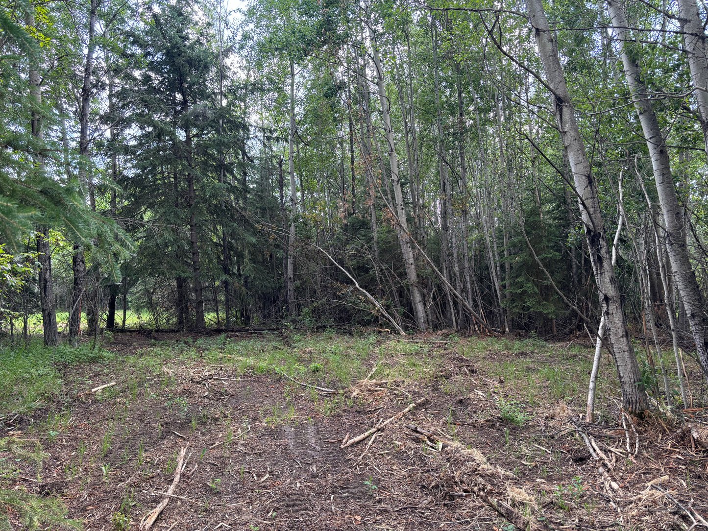 Camp site Rental