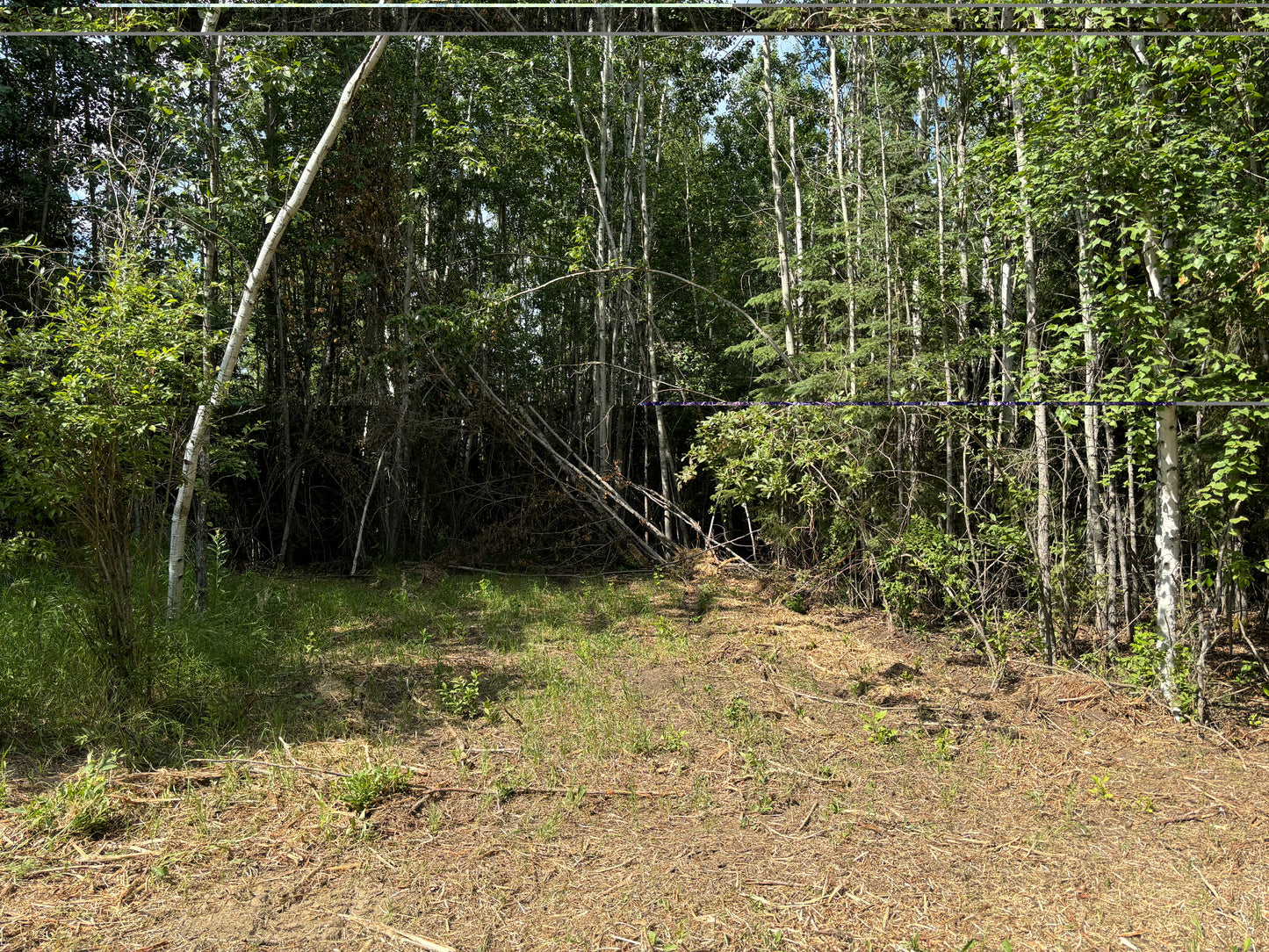 Camp site Rental