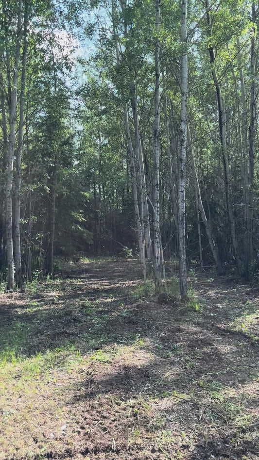 Camp site Rental